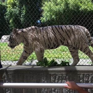 Meet your Posher, Abel